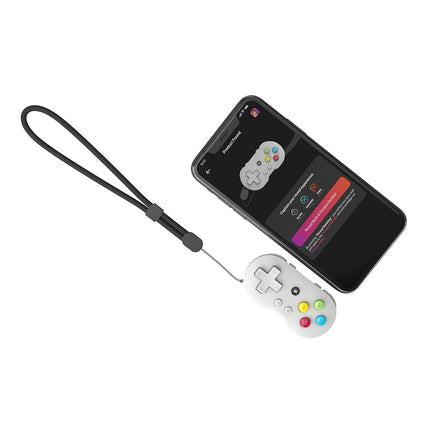 PAL Grey Collectible Keychain Controller