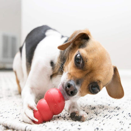 Classic Stuffable Dog Toy - Fetch & Chew Toy for Dogs — Pet Supplies