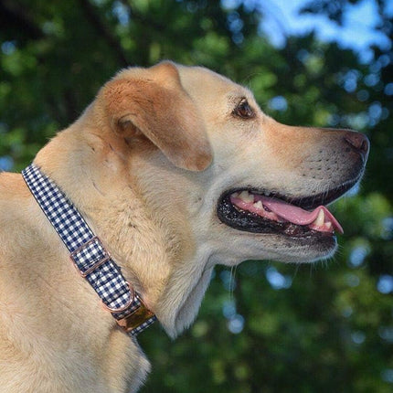 Adjustable Bowtie Dog Collar for Small, Medium, and Large Dogs