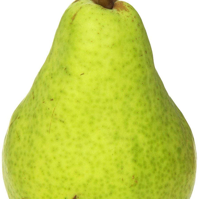 Bartlett Pear