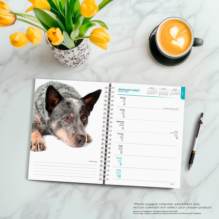 GlowEssence EsenciaLuz Blue Heelers — Beauty & Self-Care