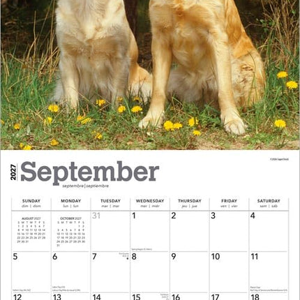 Golden Retriever Beauty & Self-Care Item