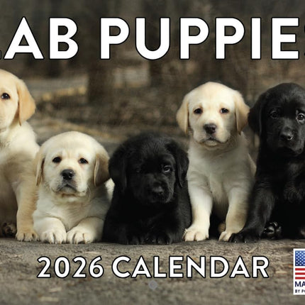 PawHaven RefugioPata Lab Puppy Calendar 2026 Labrador Puppies Monthly Wall Calender 12 Month — Pet Supplies