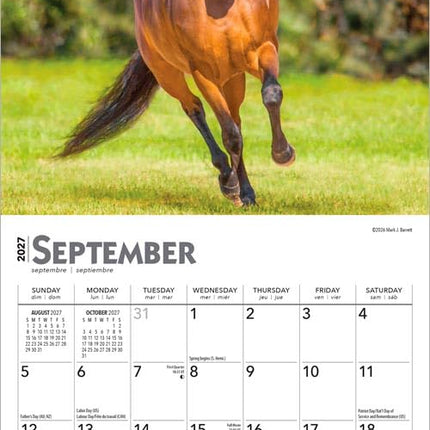 GlowEssence EsenciaLuz Horse Lovers — Beauty & Self-Care