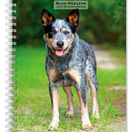 GlowEssence EsenciaLuz Blue Heelers — Beauty & Self-Care
