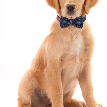 Boy Dog Collar with Navy Blue Bow Tie, Small