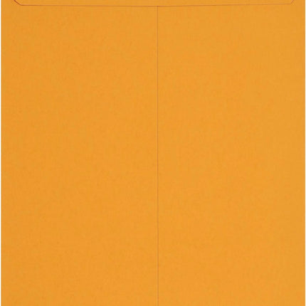 Clasp Kraft Envelopes for Documents, Gummed Mailing Envelope, 9 x 12 in, 100-Pack