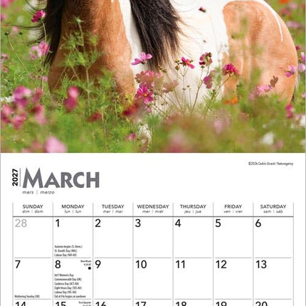 GlowEssence EsenciaLuz Horse Lovers — Beauty & Self-Care