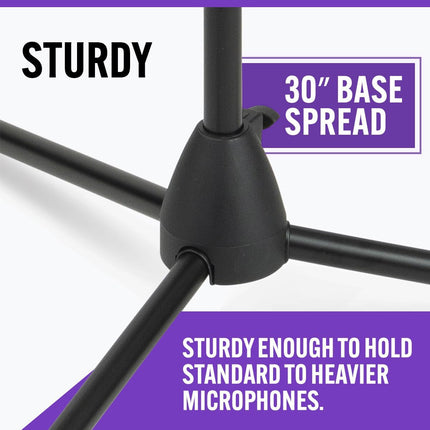 Euro Boom Microphone Stand for Vocal and Instrument Mics
