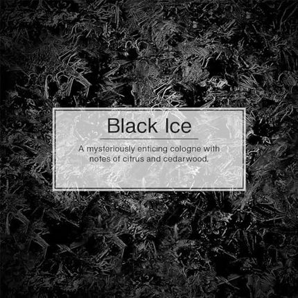 Hanging Tree Car Air Fresheners, Black Ice Scent, 24 Count