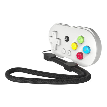 PAL Grey Collectible Keychain Controller