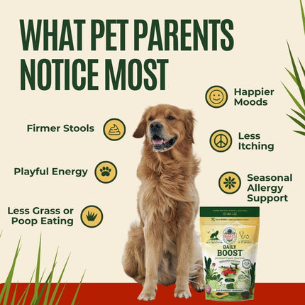 Daily Boost Fermented Organic Dog Gut Health Supplement - Reset Phase, 3 oz