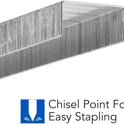 SourceToHome FuenteACasa S.F. 1 Standard Staples — Home & Lifestyle