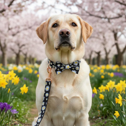 PawHaven RefugioPata PETDURO Personalized Dog Collar Daisy Print with Name & Phone Number — Pet Supplies