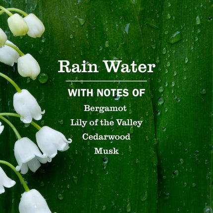 Rain Water Scent Liquid Hand Soap Refill, 33 fl oz