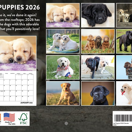PawHaven RefugioPata Lab Puppy Calendar 2026 Labrador Puppies Monthly Wall Calender 12 Month — Pet Supplies