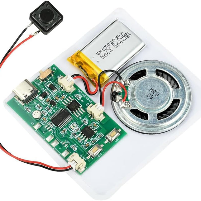 DIY Birthday Card Sound Module with Push Button and Speaker