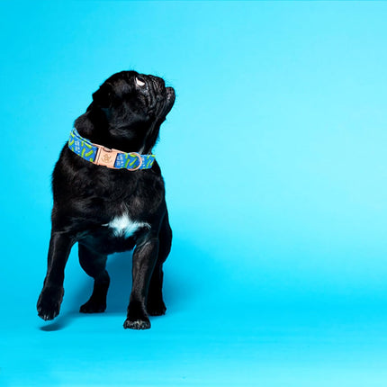 Elegant Little Tail Blue Bear Adjustable Dog Collar for Small Dogs
