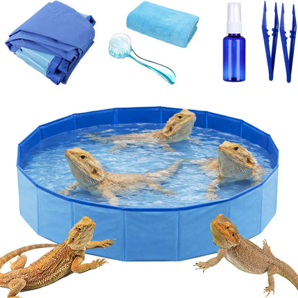 6Pcs Bearded Dragon Bath Set – Foldable Bathtub & Towel, Bath Brush, Spray Bottle & Tweezers (Large)