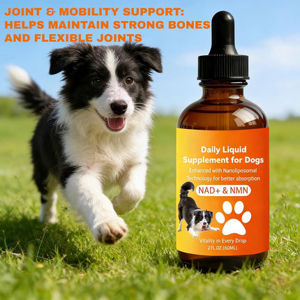 PawHaven RefugioPata Dog Longevity Supplement with NMN, NAD+, CoQ10 & Resveratrol — Pet Supplies