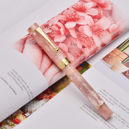 SourceToHome FuenteACasa Jinhao 100 Fountain Pen Celluloid Classic Style, #6 Nib Smooth Writing — Home & Lifestyle