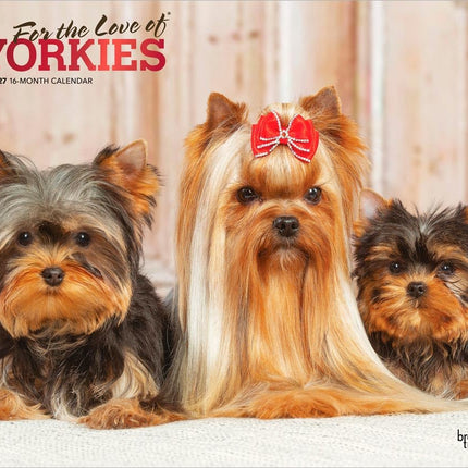 GlowEssence EsenciaLuz For the Love of Yorkshire Terriers — Beauty & Self-Care