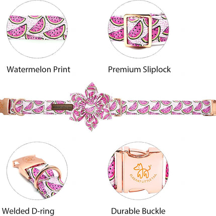 Watermelon Print Adjustable Dog Collar with Flower for X-Small Dogs