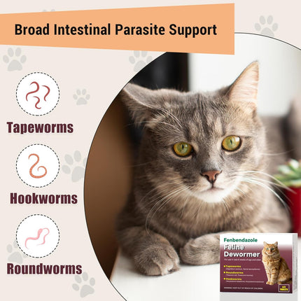 Dewormer for Cats & Kittens, Fenbendazole for Tapeworms, Roundworms & Hookworms - 60 Tablets