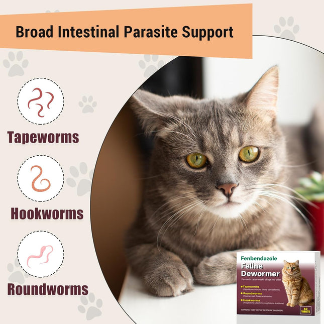 Dewormer for Cats & Kittens, Fenbendazole for Tapeworms, Roundworms & Hookworms - 60 Tablets