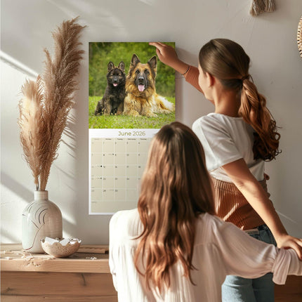 German Shepherd 2026 2027 Wall Calendar, 16-Month Academic Year