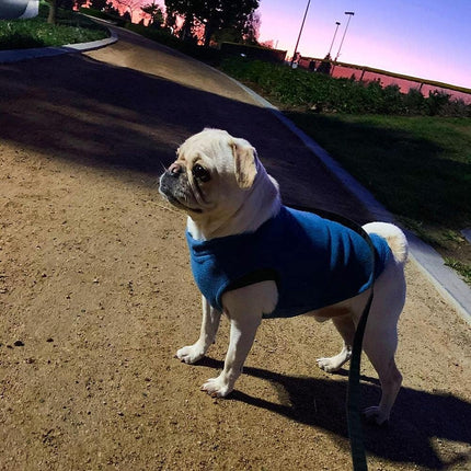 Stretch Fleece Pullover Vest for Dogs, Steel Blue, Medium