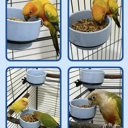 2-Piece Blue Ceramic Bird Food Bowl Set