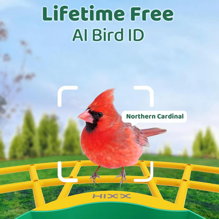 Smart Bird Feeder with 2K Camera and Color Night Vision, Green