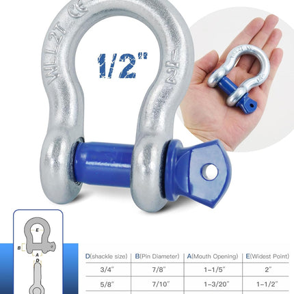 4 Pack 1/2 in. D Ring Shackles with 9/16 in. Screw Pins
