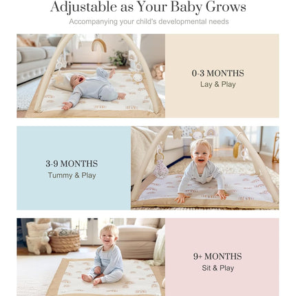 Washable Tummy Time Baby Play Gym with Toys and Milestone Cards