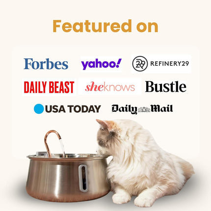 Stainless Steel Cat Water Fountain, 4L Corded Indoor Drinking Fountain