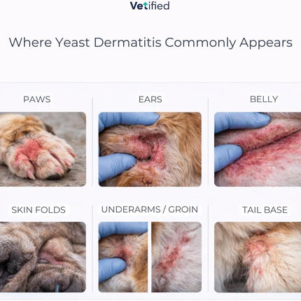 Yeast Dermatitis Spray for Dogs