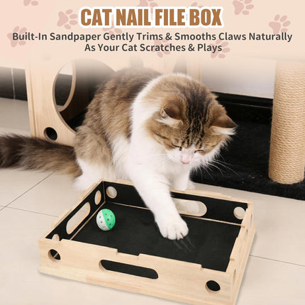 Cat Scratch Puzzle Enrichment Box with Wood Nail File