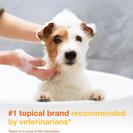 Douxo S3 Pyo Shampoo, Contains 3% Chlorhexidine & 0.5% Ophytrium, Antiseptic & Hydrating, For Bacterial or Yeast Skin Infections, For Dogs and Cats, 6.7 fl. oz. (200mL)