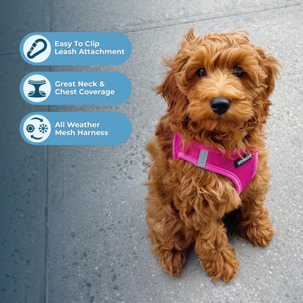Fuchsia Step-In Air Mesh Pet Vest Harness, Small