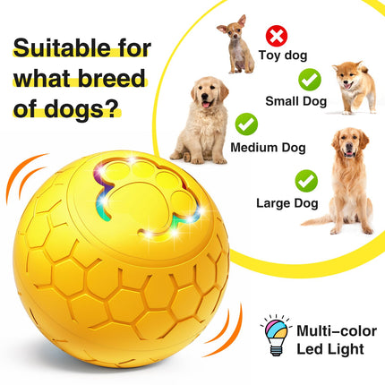 Auto rolling dog ball toy with LED lights engages curious dogs
