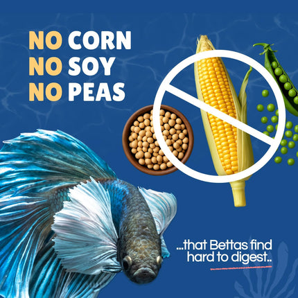 Betta Boost Pops High-Protein Fish Food Pellets, 1 oz