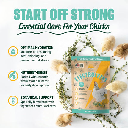 ZenPulse PulsoZen Eaton Pet & Pasture Poultry Electrolytes Powder for Chickens & Chicks — Health & Wellness