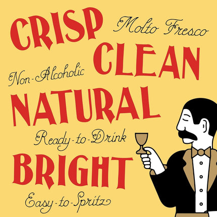 HomeChef ChefDelHogar Lapo's Citrus Spritz, Non Alcoholic Canned Cocktail — Kitchen & Home