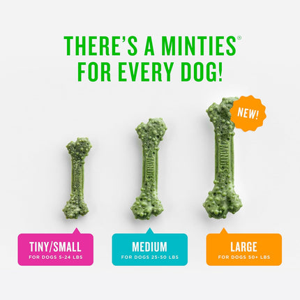 Tiny/Small Dog Dental Bone Treats, 16 oz, 40 Count