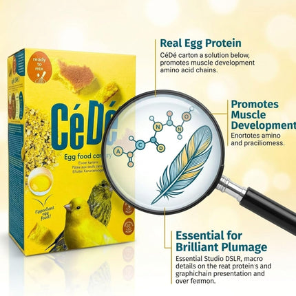 2-Piece 1 kg Canary Egg Breeding Food