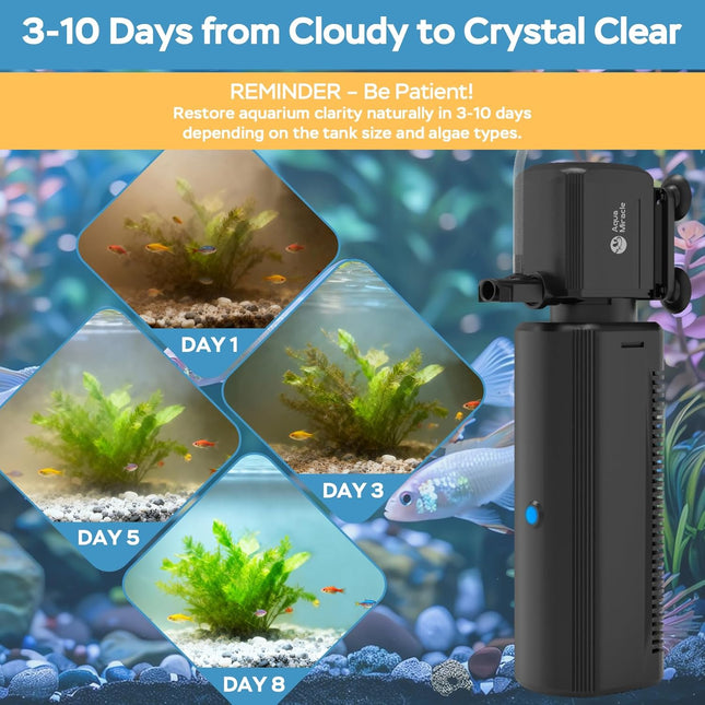 Fish Tank Filter with Timer, Sponge, Aeration and Rainfall Modes for 10-30 Gal Tanks