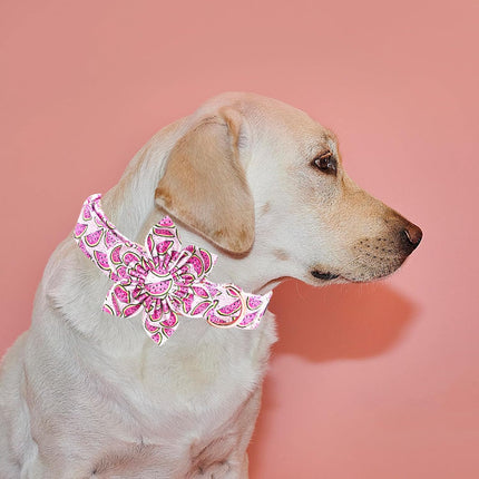 Watermelon Print Adjustable Dog Collar with Flower for X-Small Dogs