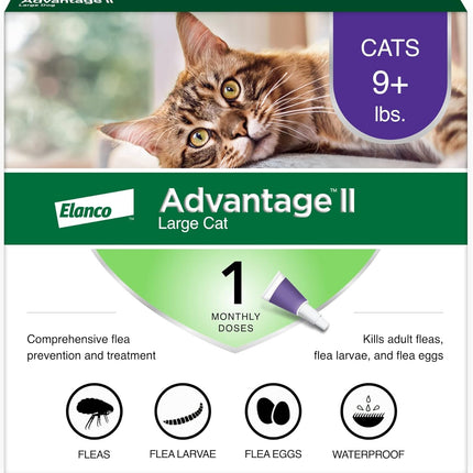 Large Cat Flea Treatment & Prevention | Cats Over 9 lbs.