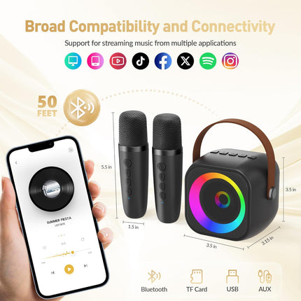 Mini Karaoke Machine with 2 Wireless Microphones